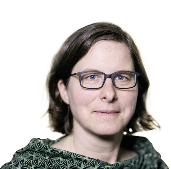 Dr. Julika Weiß ist Diplom-Ingenieurin für Technischen Umweltschutz. Sie leitet das Forschungsfeld „Nachhaltige Energiewirtschaft und Klimaschutz“ am Institut für ökologische Wirtschaftsforschung in Berlin.