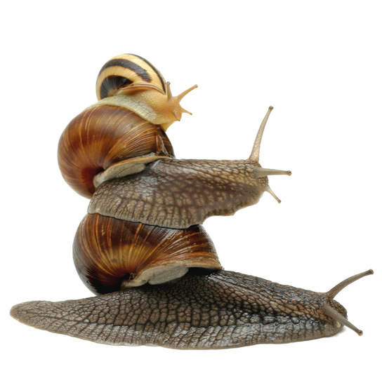 © Bild: Tinka - stock.adobe.com