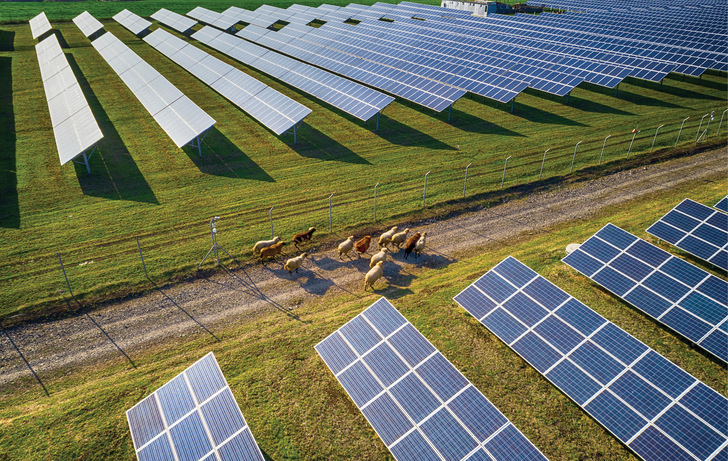 Freiflächen-Solaranlagen oder auch Agri-PV sind besonders für ländliche Kommunen ideal.