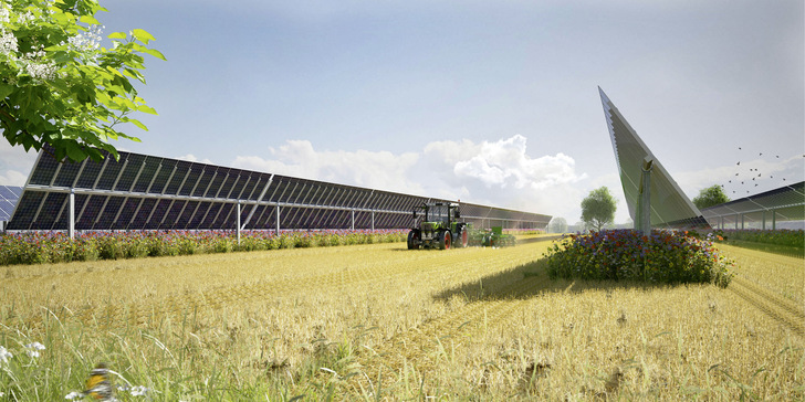 Solarstrom, Landwirtschaft und Biodiversität auf einer Fläche vereint