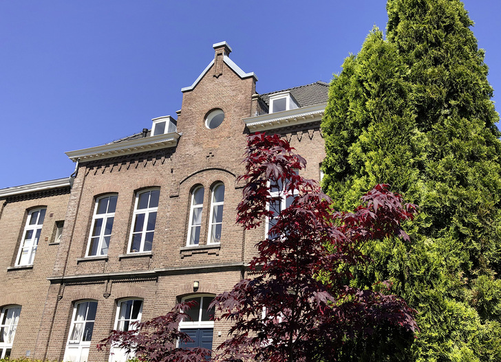 1 Mit einem Glas- anstatt Fenstertausch können die originalen Profile und Rahmen bei erhaltenswerter Bausubstanz bestehen bleiben – und zwar bei gleichzeitig optimierter Energiebilanz. - © Bild: Fineo 1 Mit einem Glas- anstatt Fenstertausch können die originalen Profile und Rahmen bei erhaltenswerter Bausubstanz bestehen bleiben – und zwar bei gleichzeitig optimierter Energiebilanz.