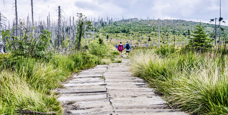 © Bild: Michael - stock.adobe.com