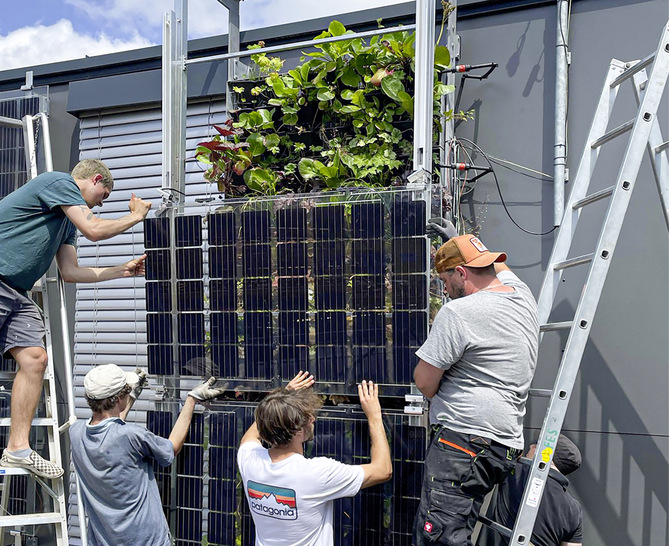 GreenPV: Mitarbeiter der Fakultät Architektur und des Instituts für Energie und Gebäude an der Technischen Hochschule Nürnberg montieren Photovoltaik vor Pflanzen. An ihrem Prüfstand untersuchen sie die Einflüsse von Fassadenbegrünung auf die Modultemperatur. - © Bild: Roland Krippner GreenPV: Mitarbeiter der Fakultät Architektur und des Instituts für Energie und Gebäude an der Technischen Hochschule Nürnberg montieren Photovoltaik vor Pflanzen. An ihrem Prüfstand untersuchen sie die Einflüsse von Fassadenbegrünung auf die Modultemperatur.