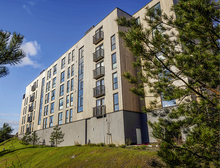 Die optimierten hygroskopischen Eigenschaften von Thermohölzern werden nach Herstellerangaben durch die Woodsafe Exterior WFX-Imprägnierung nicht verändert.