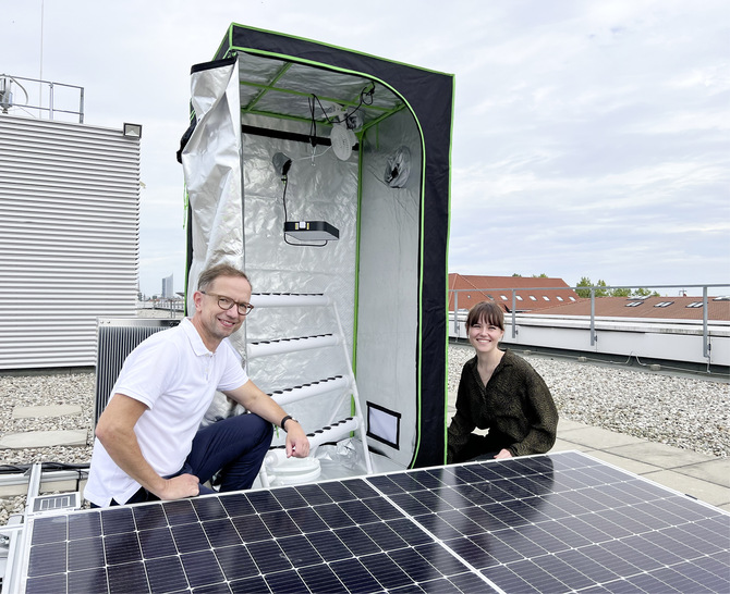 Lena Strobl (rechts) und Professor Mathias Rudolph an der Growbox, die mit Solarmodulen versorgt wird. - © Foto: HTWK Leipzig Lena Strobl (rechts) und Professor Mathias Rudolph an der Growbox, die mit Solarmodulen versorgt wird.
