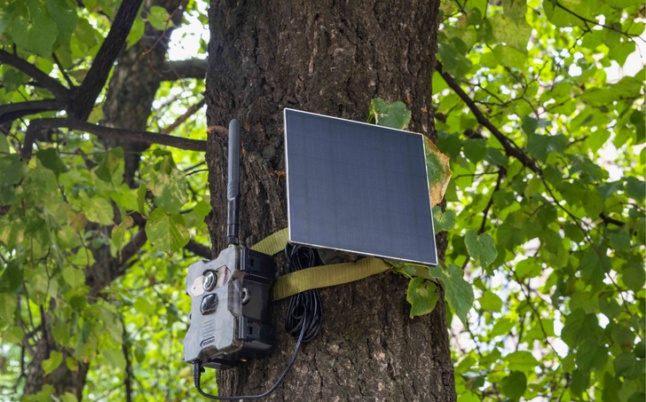 Unauffällig und zuverlässig: So wird das System am Stamm montiert.