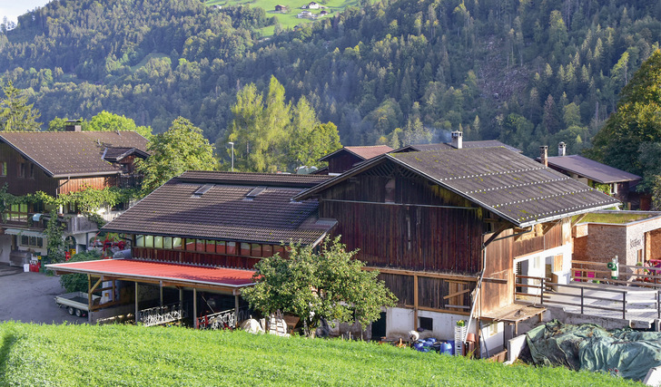 Der Kristahof in Vorarlberg: Dieses Gebäude wurde neu eingedeckt und mit Photovoltaik ausgestattet.