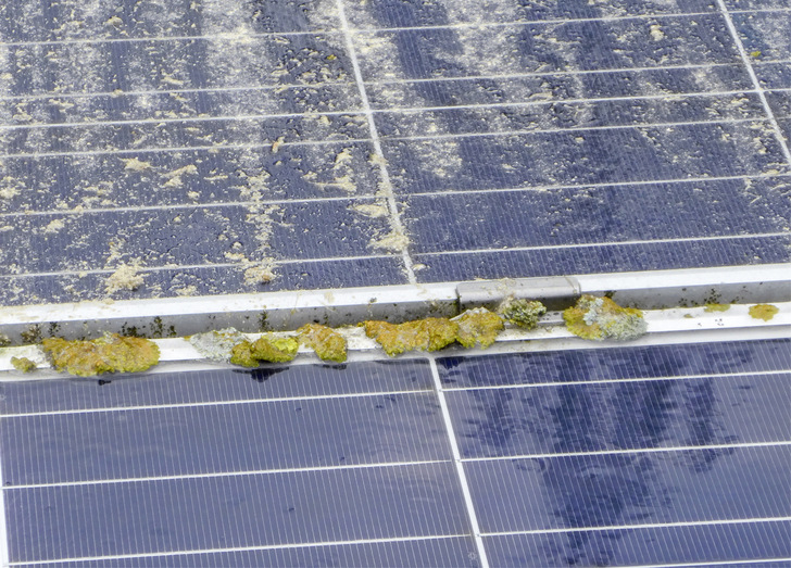 Bei der regelmäßigen Durchsicht fallen solche Problemstellen sofort auf.