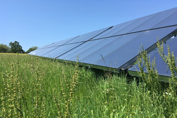 In Liggeringen bei Radolfzell versorgen Sonnenkollektoren 100 Haushalte mit umweltfreundlicher Wärme. Sie decken ein Fünftel des jährlichen Bedarfs.