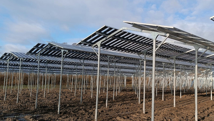 Unter der neuen Agri-PV-Anlage werden in Zukunft Erdbeeren gedeihen.