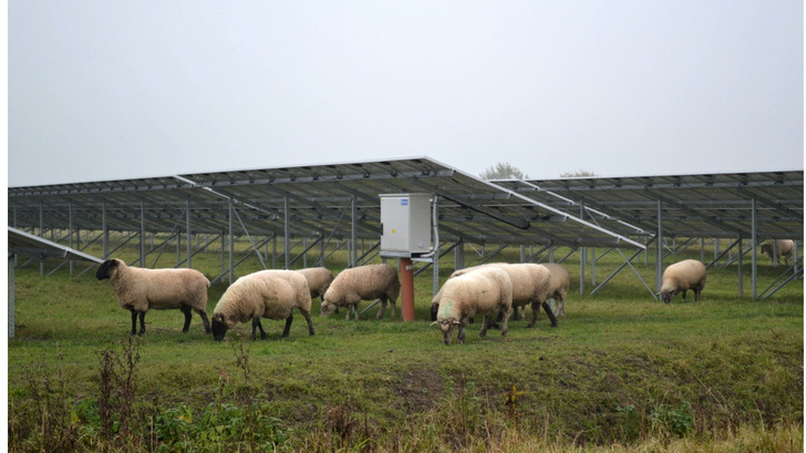 Die Kombination mit der landwirtschaftlichen Nutzung ist in Italien die einzige Möglichkeit, Solaranlagen auf Acker- und Grünlandflächen jeglicher Art zu bauen.