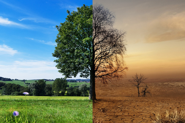 Es ist noch nichts entschieden, entschlossene und konsequente Klimaschutzmaßnahmen können die schlimmsten Szenarien nach wie vor abwenden.