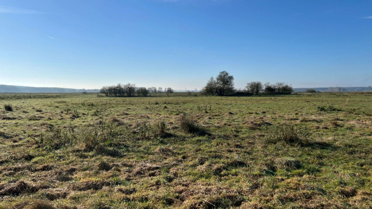 Fast drei Viertel der Moore in Deutschland sind trockengelegt. Um sie wieder zu vernässen, bietet sich die Photovoltaik an.