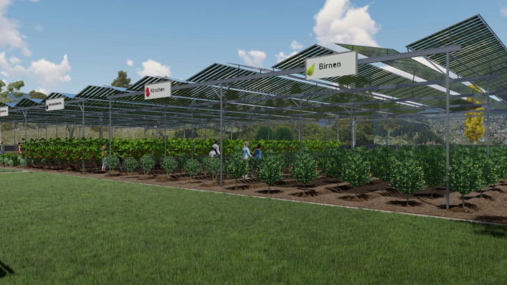 Die Agri-PV-Anlagen schützen die Pflanzen vor heftigen Wetterereignissen. Dies stabilisiert die landwirtschaftlichen Erträge.