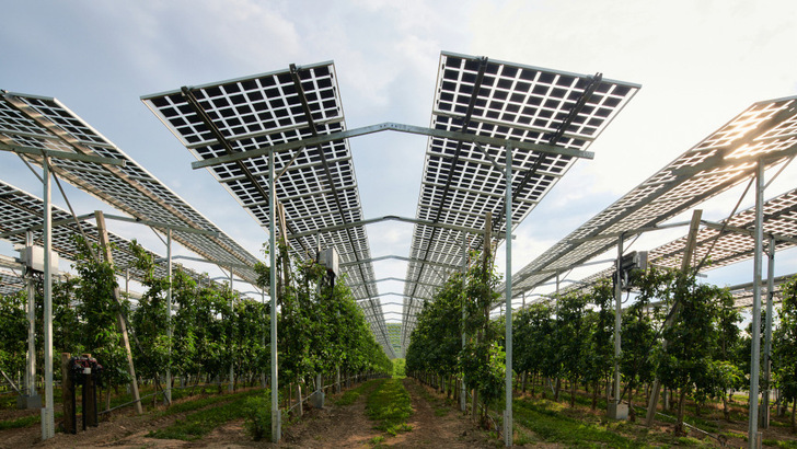 Eines der Ziele der Touren führt die Teilnehmer zur Agri-PV-Anlage nach Kressborn.