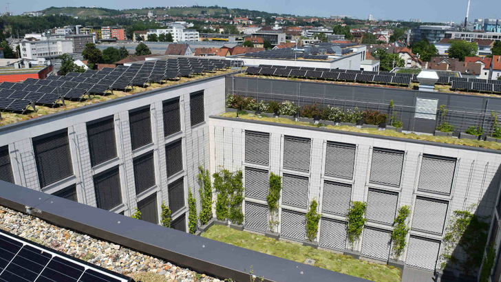 Die Photovoltaik lässt sich perfekt mit dem Gründach kombinieren.