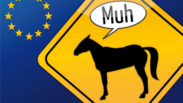 Pferde- statt Rindfleisch - das Pendant zu dem Skandal aus der europäischen Lebensmittelindustrie ist in der Energiewirtschaft der Verkauf von Herkunftsnachweisen an Kohleverstromer.