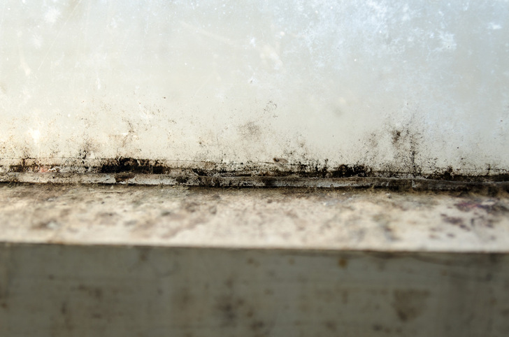 Wer weiß, wie Schimmel entsteht, hat die Chance, rechtzeitig vorzubeugen – durch bauliche Veränderungen oder durch optimales Heizen und Lüften.