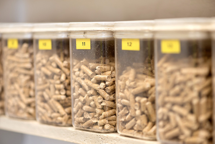 In Pelletswerken werden regelmäßig Proben entnommen, um die ENplus-Zertifizierung gewährleisten zu können. Nun wird in der Branche darüber gestritten, ob das ausreicht, um auch die Nachhaltigkeit des Brennstoffs zu bestätigen. - © Deutsches Pelletinstitut In Pelletswerken werden regelmäßig Proben entnommen, um die ENplus-Zertifizierung gewährleisten zu können. Nun wird in der Branche darüber gestritten, ob das ausreicht, um auch die Nachhaltigkeit des Brennstoffs zu bestätigen.