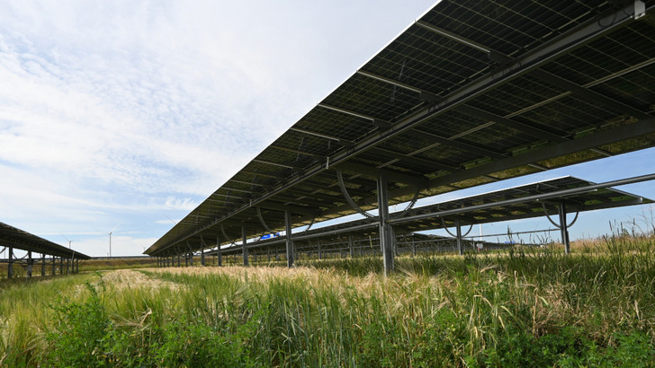 Für die Wirtschaftlichkeit von kleinen und großen Agri-PV-Anlagen ist ein cleveres Vermarktungskonzept hilfreich. Dienstleister haben solche schon längst entwickelt.