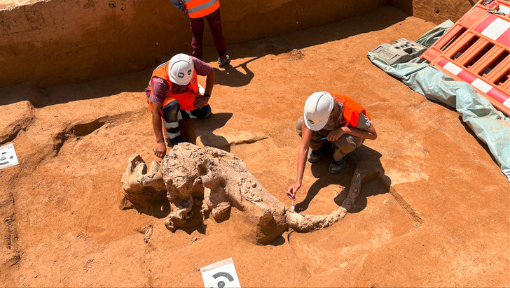 Was kommt hier denn zum Vorschein?