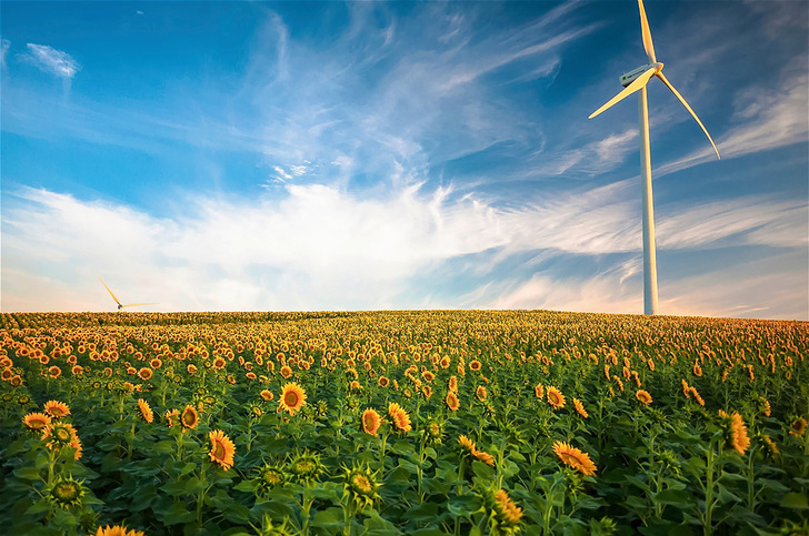 Frühzeitige Handlungssicherheit bedeutet wirtschaftliche und rechtliche Stabilität.