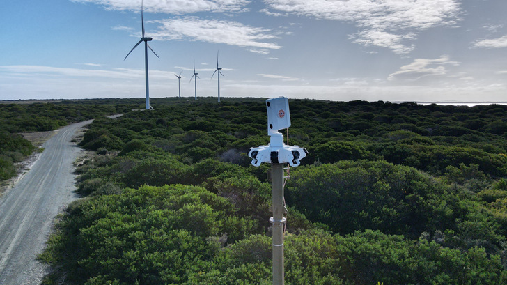 Identiflight erkennt Greifvögel bereits aus großer Distanz.