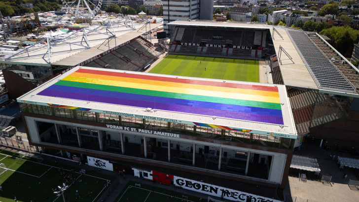 Die Farbgebung der Module basiert auf einer besonderen Technologie, die hohe Erträge trotz schlechter Ausrichtung zulässt.