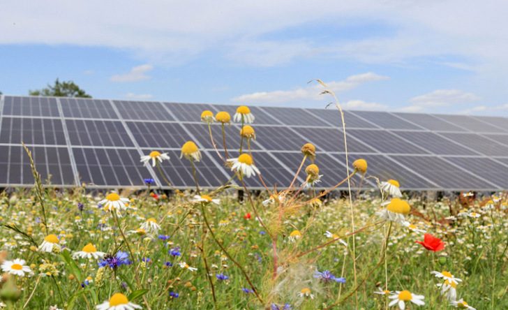 Baden-Württemberg hat den schnellen Ausbau von PV in die Wege ­geleitet, allerdings betrifft das nur Anlagen ohne Batteriespeicher.