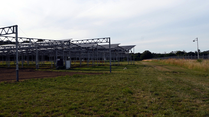 Welche Tiere und Pflanzen leben auf der Fläche, auf der die Agri-PV-Anlage entstehen soll? Dies kann nur mit einer Umweltkartierung ermittelt werden.