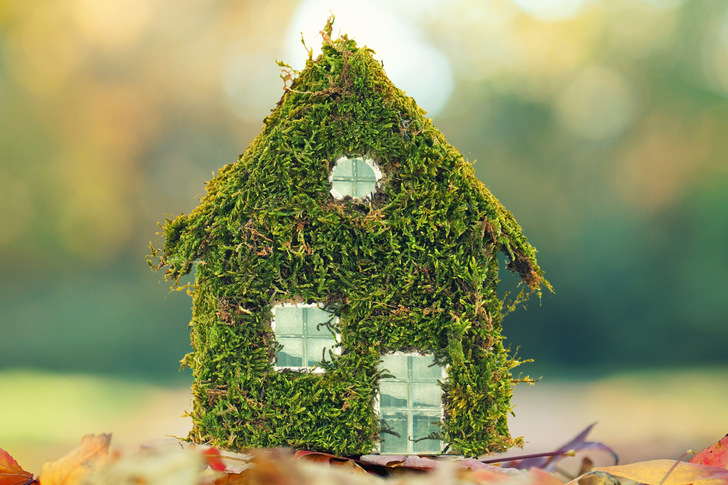 Die Bundesbauministerin sieht Anzeichen für eine Erholung im Bauwesen. Diesen Aufschwung wolle man befeuern, um mehr bezahlbaren und klimafreundlichen Wohnraum zu schaffen.