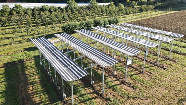 Wie viel Schutz bieten die Solarmodule für die Süßkirschen, die darunter wachsen? Dies soll mit dieser Anlage untersucht werden. - © T-Werk Wie viel Schutz bieten die Solarmodule für die Süßkirschen, die darunter wachsen? Dies soll mit dieser Anlage untersucht werden.