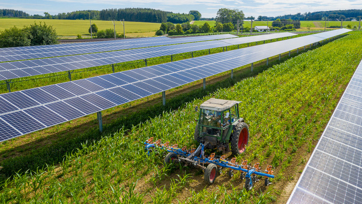 Der Vorteil der Agri-PV: Zwischen den Modulreihen ist die Bearbeitung der Fläche möglich.