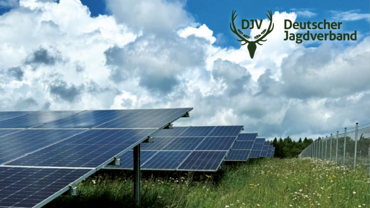 So klappt es mit der Fauna – dem neuen Leitfaden sei dank.