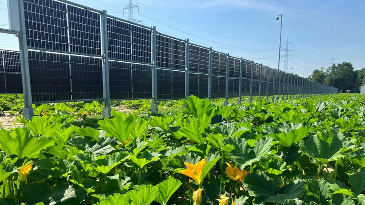 Wenn die vertikalen Anlagen herkömmliche Solarparks ergänzen, ergeben sich klare wirtschaftliche Vorteile.