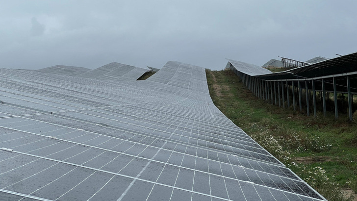 Der Solarpark in Petershagen geht jeweils zur Hälfte an Naturstrom und an die Berliner Stadtwerke, die ihre Kund:innen mit dem Sonnenstrom beliefern.