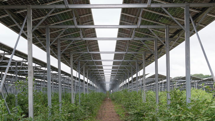Die Ausrichtung der Module wurde an die landwirtschaftliche Bearbeitungsrichtung angepasst.