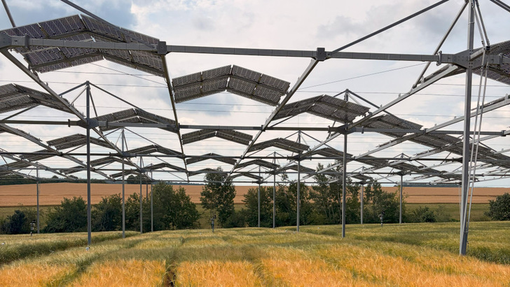 Schattenspiele auf dem Feld: Den Pflanzen macht das weniger aus als gedacht.