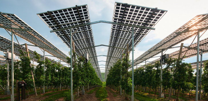 Die hohe Aufständerung von Agri-PV-Systemen verursacht auch höhere Kosten. Diese müssen wieder refinanziert werden.