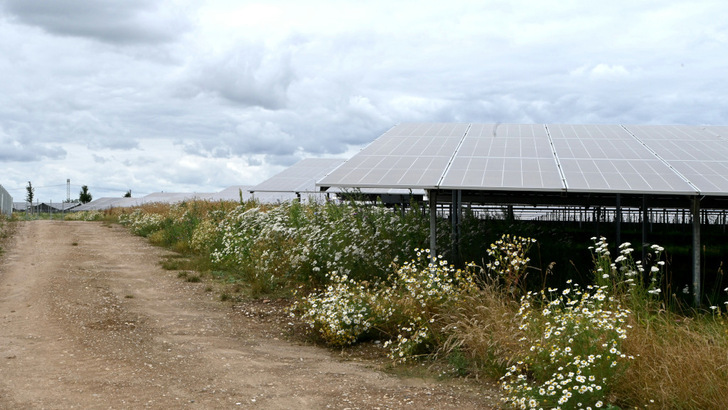 Die marktoptimierte Platzierung von Solaranlage und Speicher erhöht die Erlöse. Die Floor-Struktur sichert die Wirtschaftlichkeit auch bei niedigen Marktpreisen.