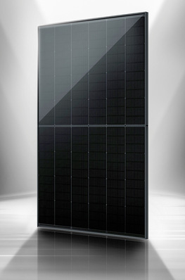 Das Vertex S+ 450W-Modul liefert, wie der Name schon sagt, 450 W Leistung.