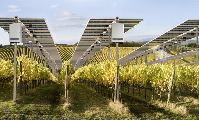 Das Tracker Control System richtet die Solarmodule von Agri-PV-Systemen je nach Jahreszeit und Wetterlage automatisch für einen idealen Einstrahlungswinkel aus.