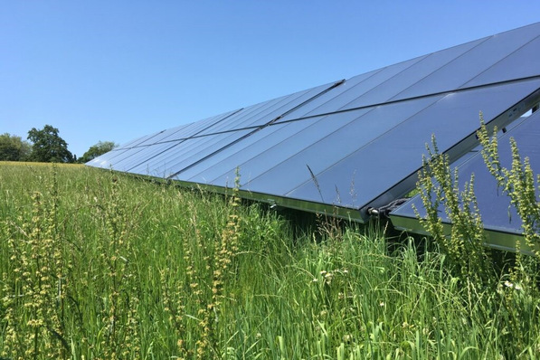 In Liggeringen bei Radolfzell versorgen Sonnenkollektoren 100 Haushalte mit umweltfreundlicher Wärme. Sie decken ein Fünftel des jährlichen Bedarfs.