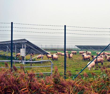 Ein Zaun sollte Übersteigschutz haben.  Absolute Sicherheit bietet aber auch das nicht. 
Doch: Wenn der Zaun überstiegen wird, liegt eine Straftat vor.