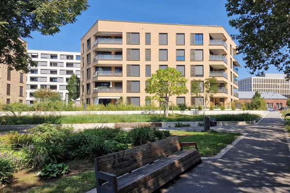 Das Glücksteinquartier mit 750 Wohnungen und 4.600 Arbeitsplätzen ist auf einer Brachfläche auf der bisher wenig attraktiven Südseite des Mannheimer Hauptbahnhofs entstanden. Das Quartier zeichnet sich durch eine standortgerechte urbane Dichte und eine moderne Architektur aus. Einzelne ehemals zu Bahnbetriebszwecken genutzte Gebäude blieben erhalten. Dachbegrünungen sowie die Durchgrünung des Gebietes schaffen ein gutes Kleinklima.