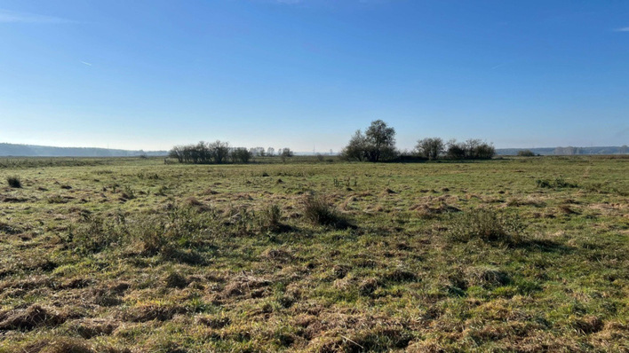 © Greifswald Moor Center