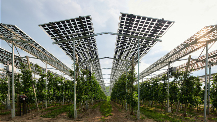 Mit der Förderung will Düsseldorf auch die Akzeptanz des Solarausbaus absichern.