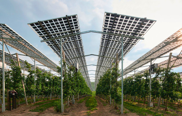 NRW fördert Agri-PV – eine Chance für die Landwirtschaft.