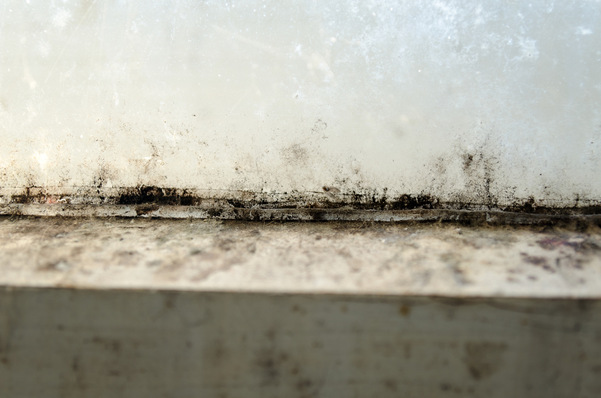 Wer weiß, wie Schimmel entsteht, hat die Chance, rechtzeitig vorzubeugen – durch bauliche Veränderungen oder durch optimales Heizen und Lüften.