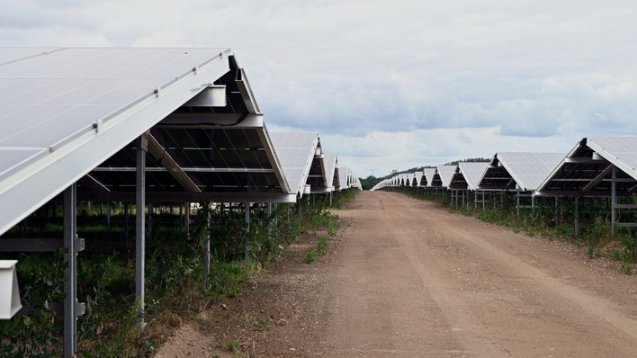 Bei der jüngsten Ausschreibung war das Interesse an den Marktprämien immer noch sehr hoch. Doch es hat im Vergleich zum Jahresanfang etwas nachgelassen.